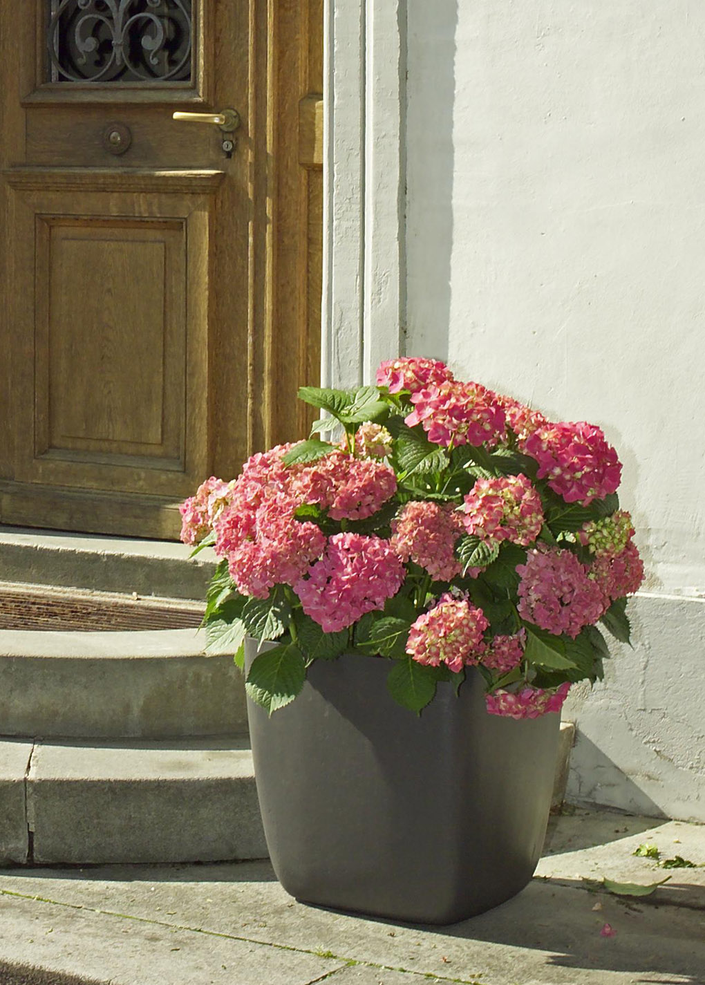 Boulevard Osaka Cube Planters H35cm to H70cm